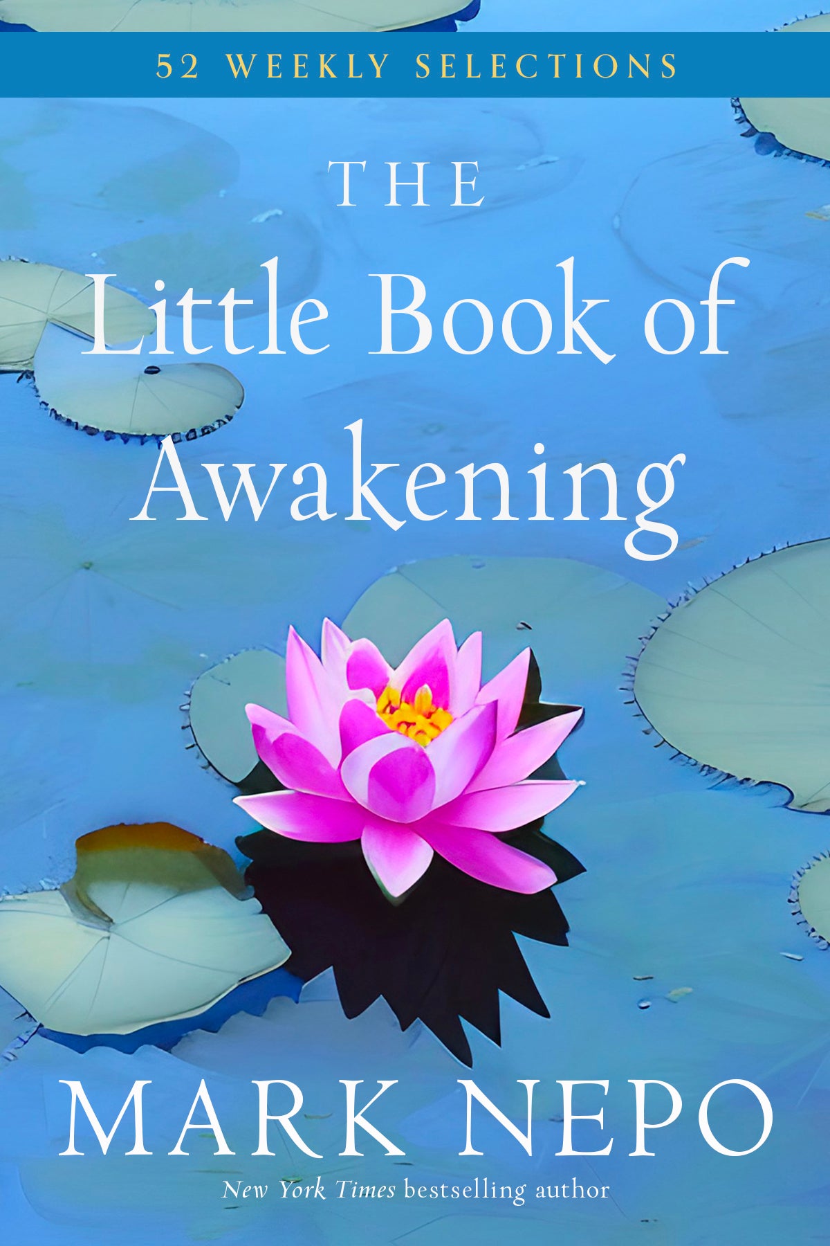 Little Book of Awakening