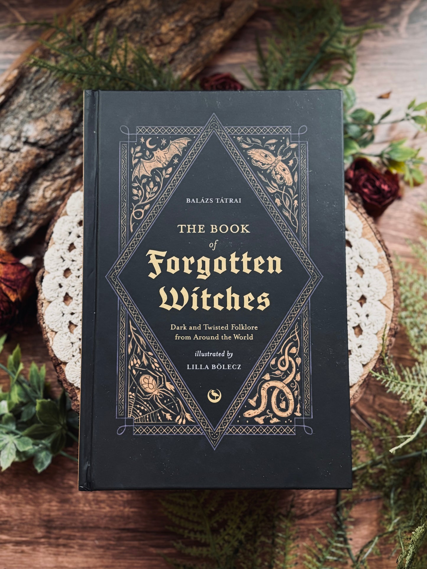 Book of Forgotten Witches