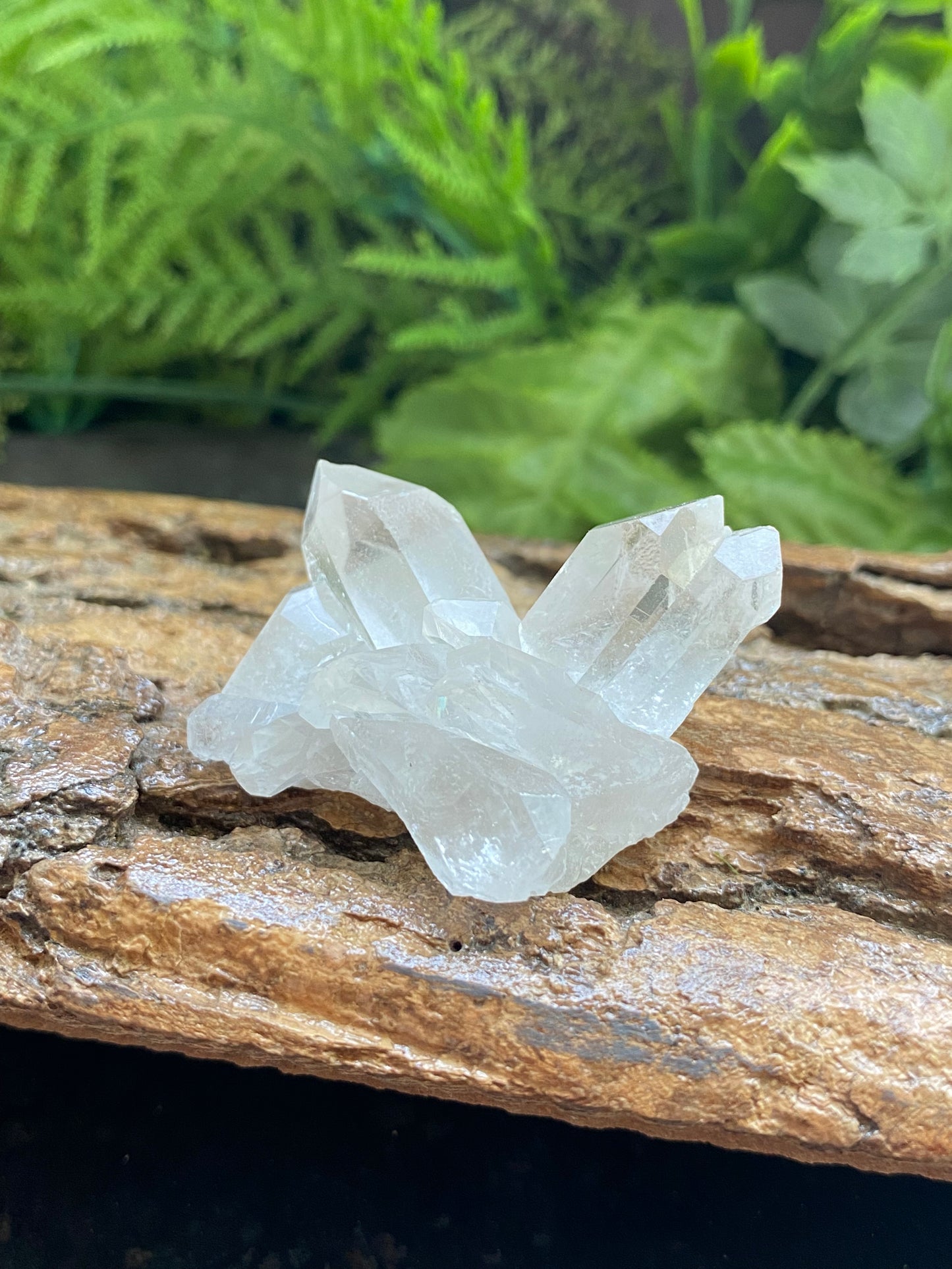 Clear Quartz Cluster