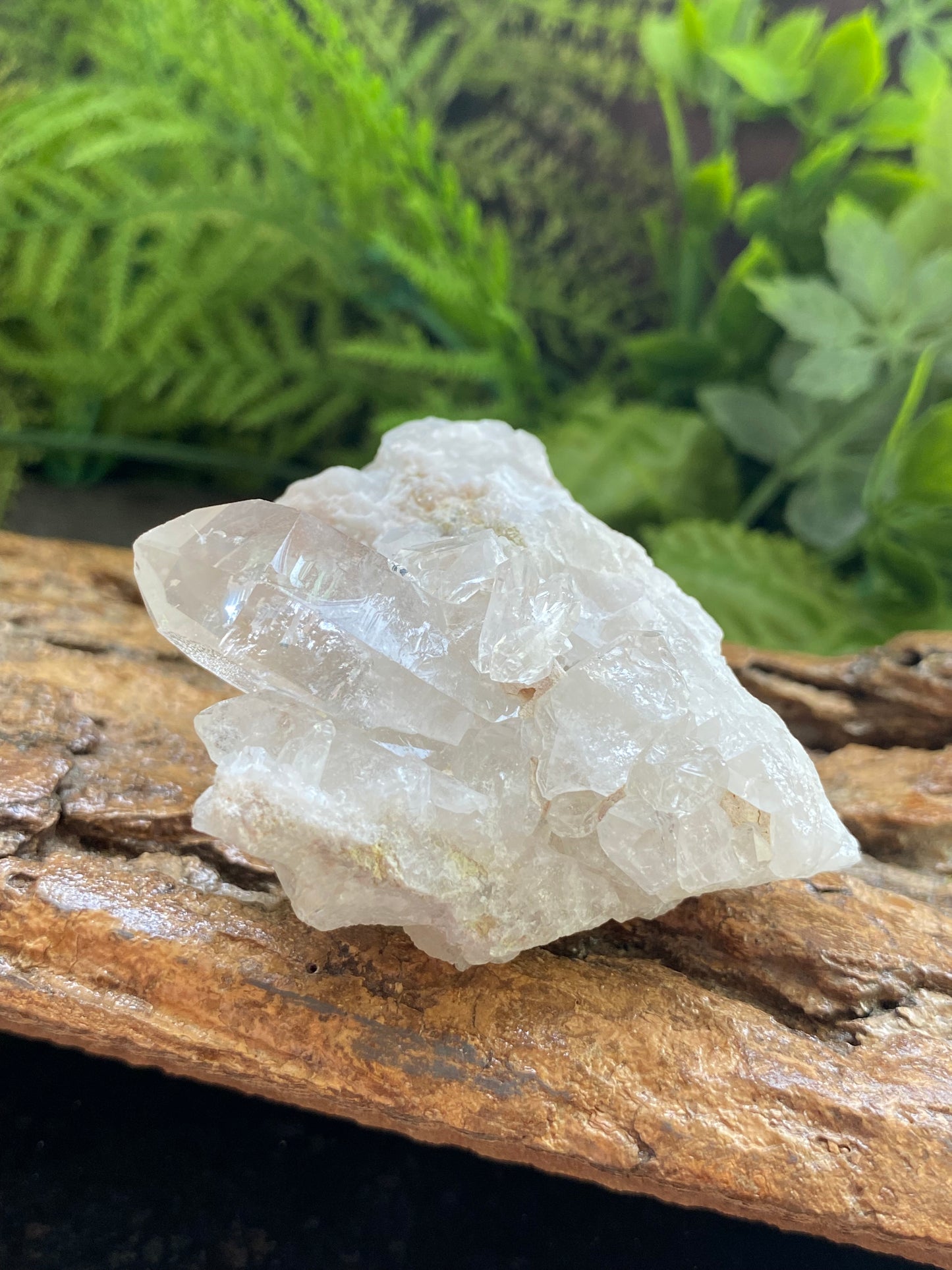 Clear Quartz Cluster