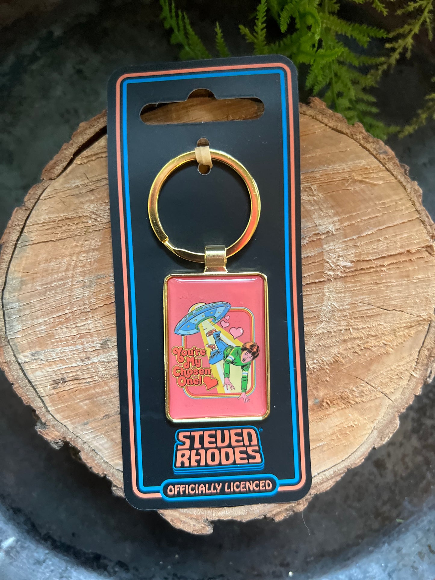 Enamel Keyrings by Steven Rhodes (Assorted)