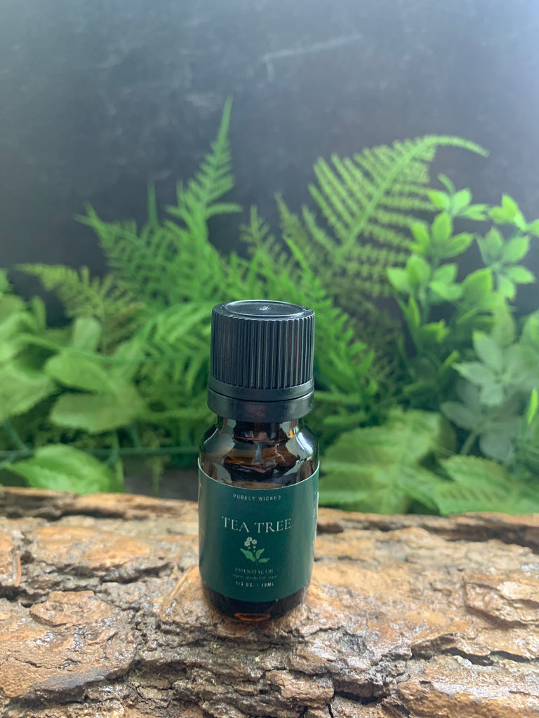 Essential Oil - Tea Tree (15ml)