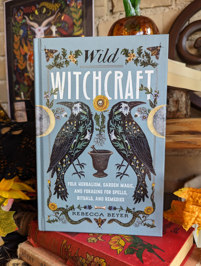 Spirituality + Witchcraft Books