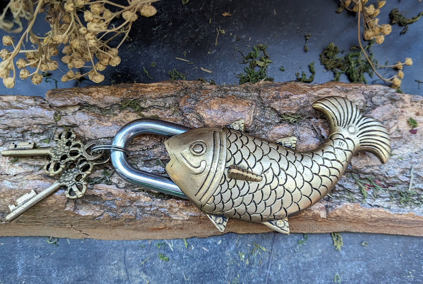 Brass Fish Lock