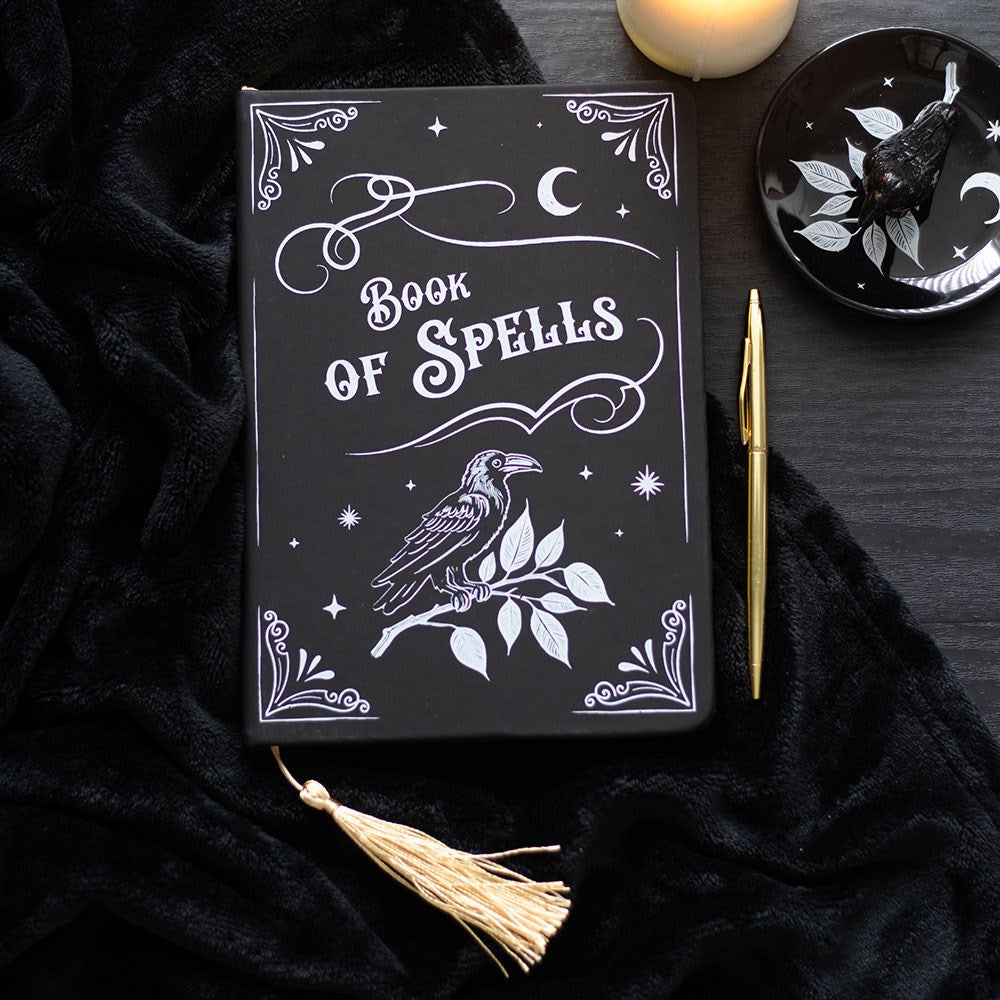 Mystic Raven Book of Spells Journal