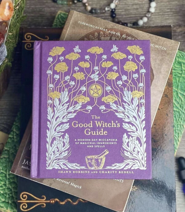 The Good Witch's Guide