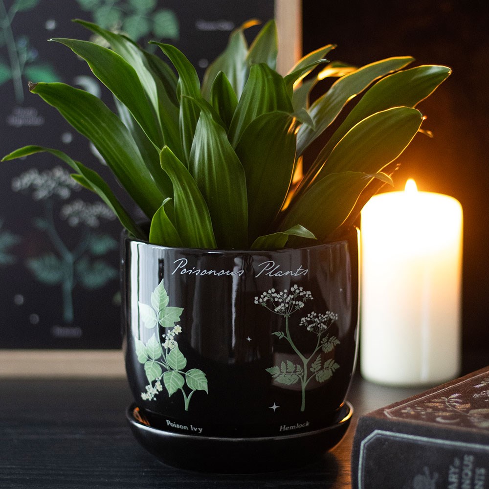 Poisonous Plants Ceramic Plant Pot
