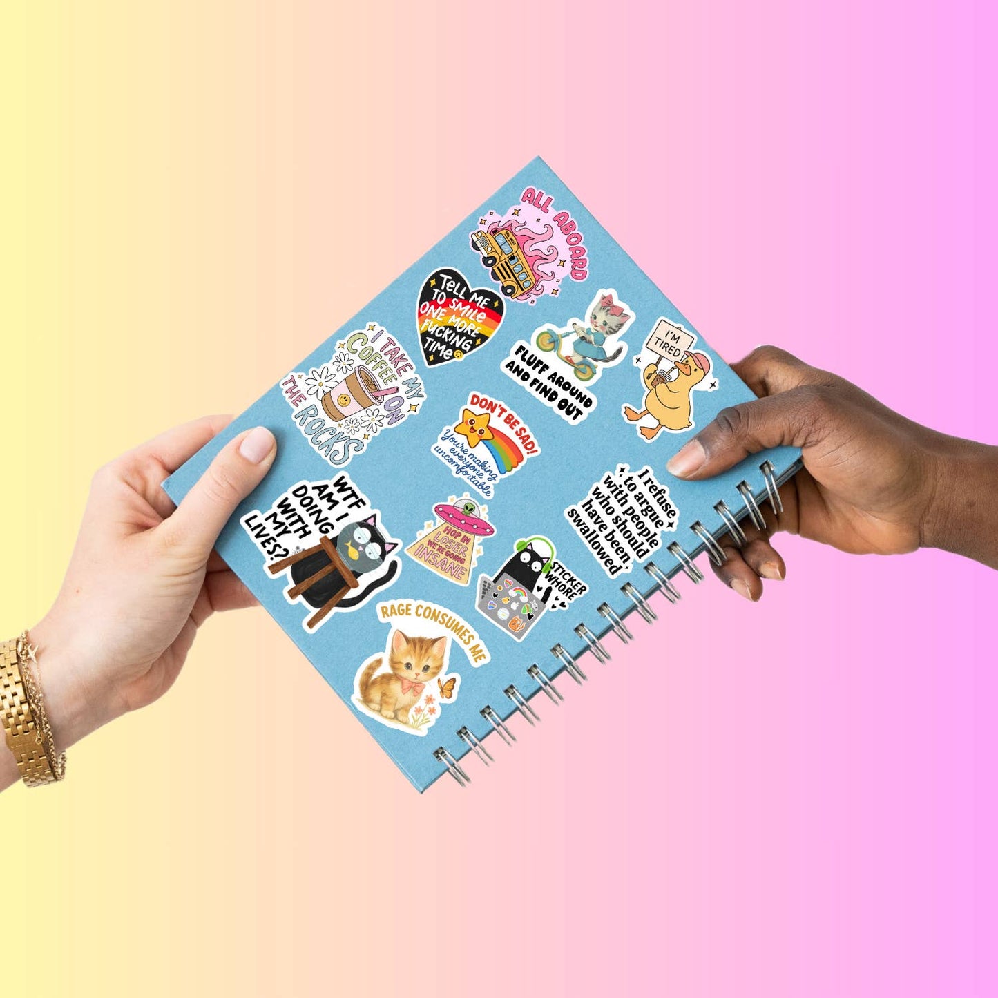 Cheer Up, Bitch Cat Sticker, Funny Dark Humor : Loose