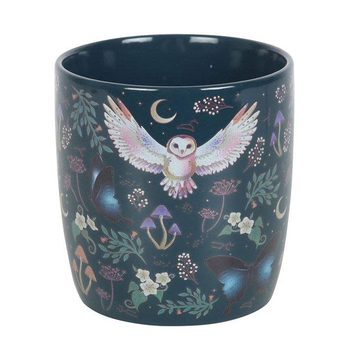 Night Flight Owl Mug