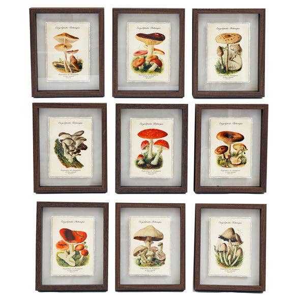 Assorted Mushroom Shadow Framed Wall Art