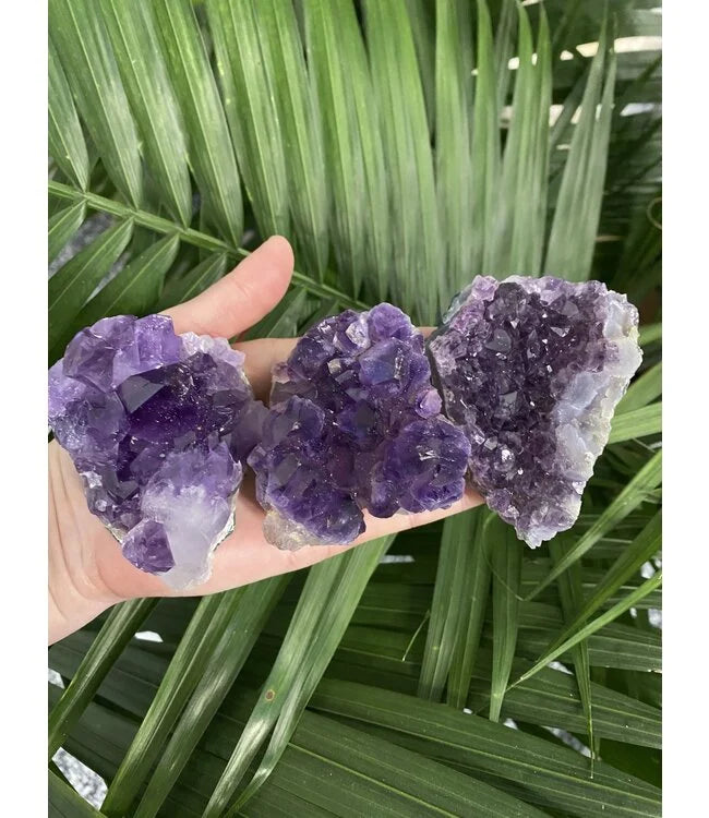 Amethyst Crystal Cluster