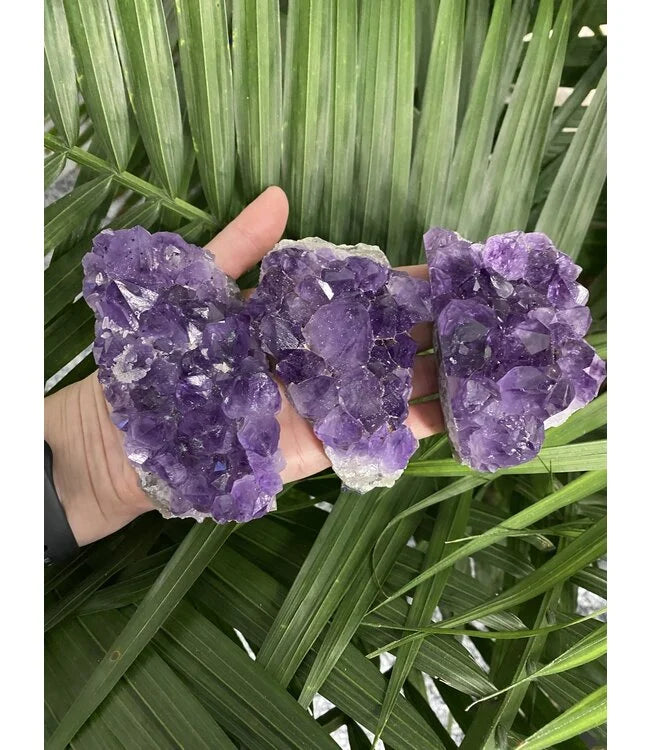 Amethyst Crystal Cluster