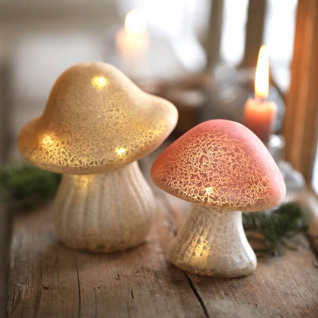 Neutral Glass Mushroom Light