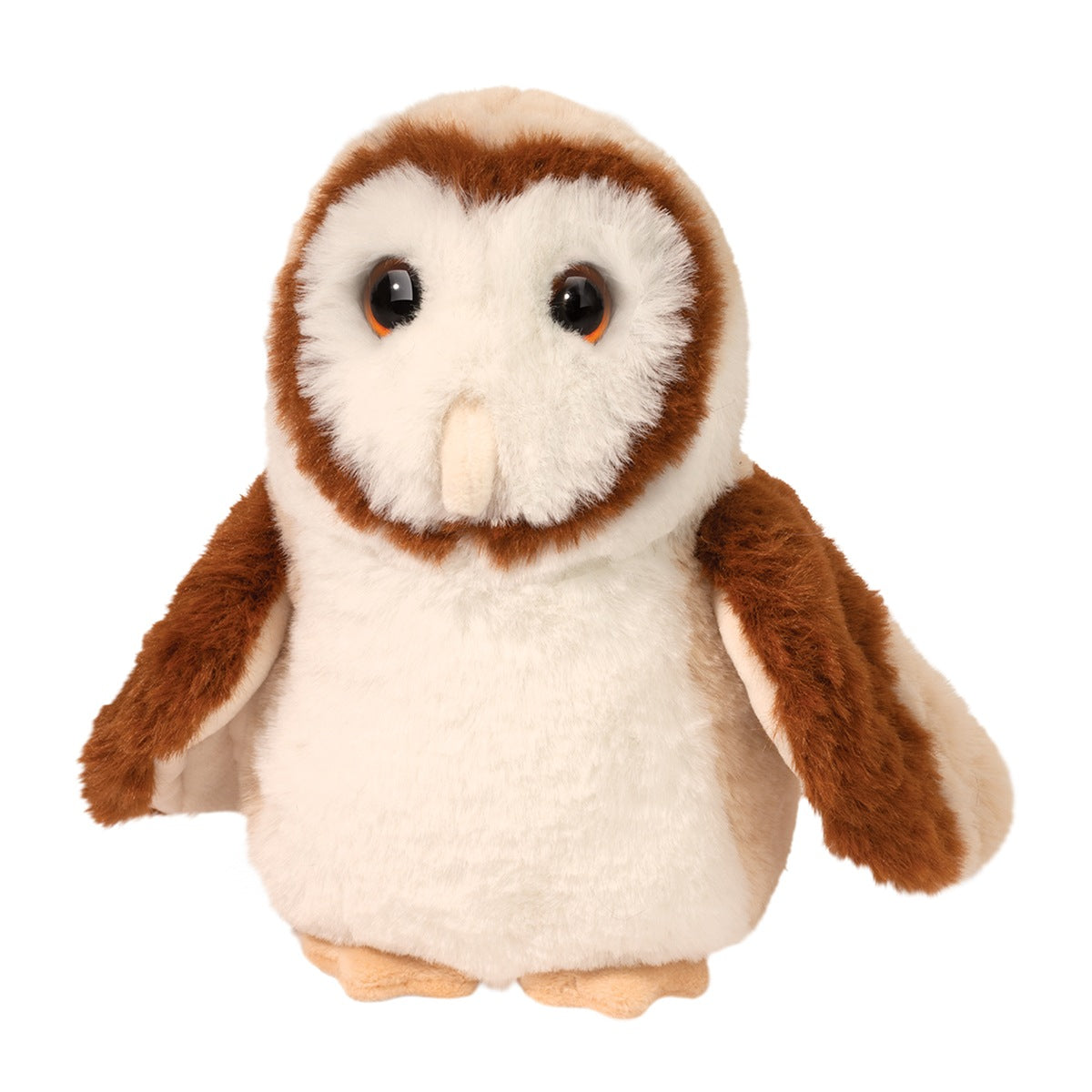 Barn Owl - Rafter