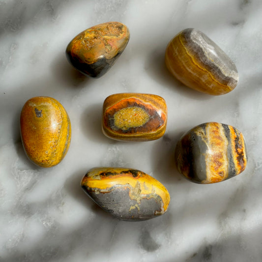 Bumble Bee Jasper - Smooth