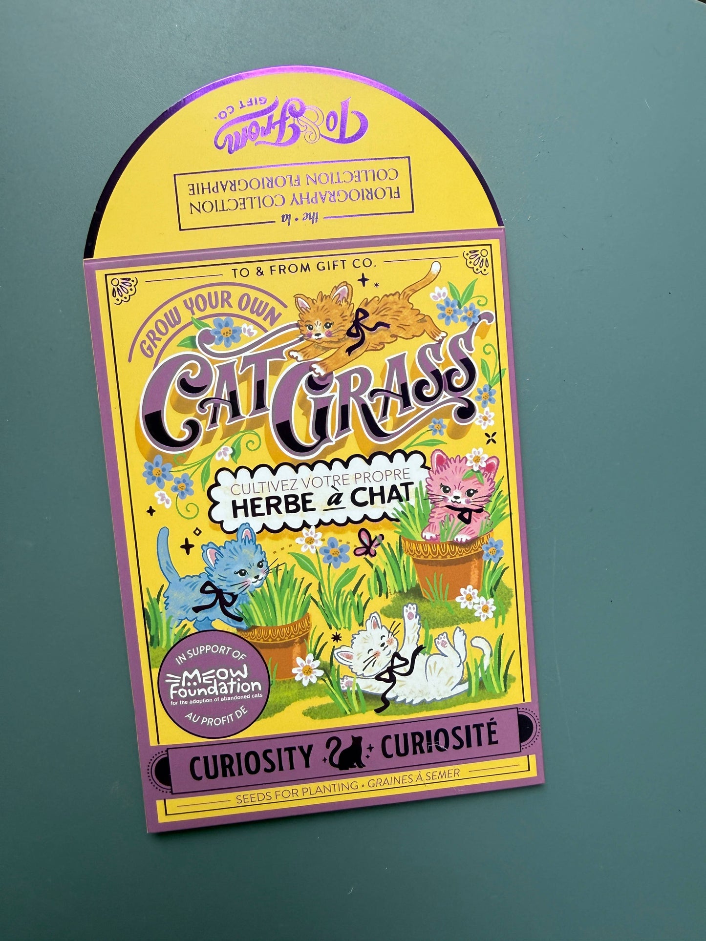Cat Grass Seed Packet (Curiosity) with Purple Foil