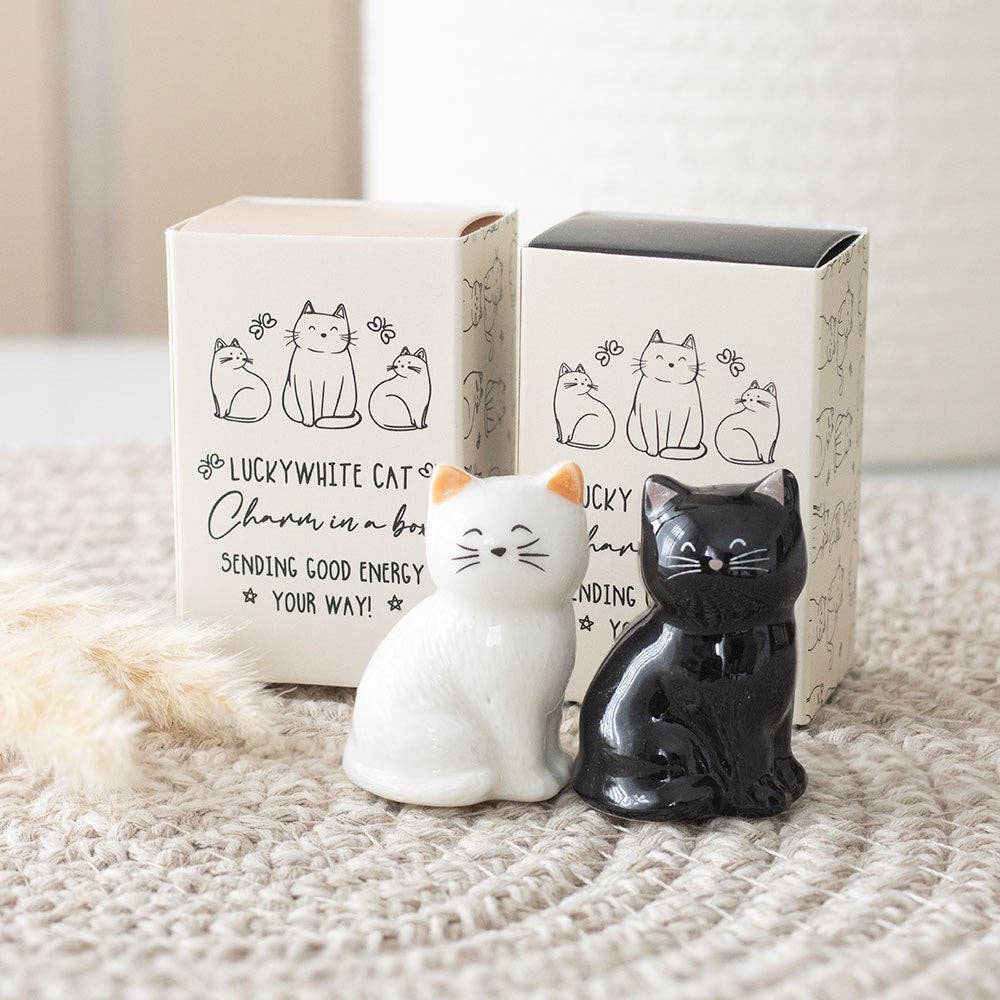 White & Black Lucky Cat Charms in a Box