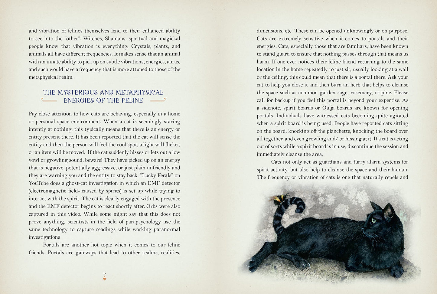Cat Magick