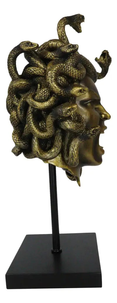 Head of Medusa
