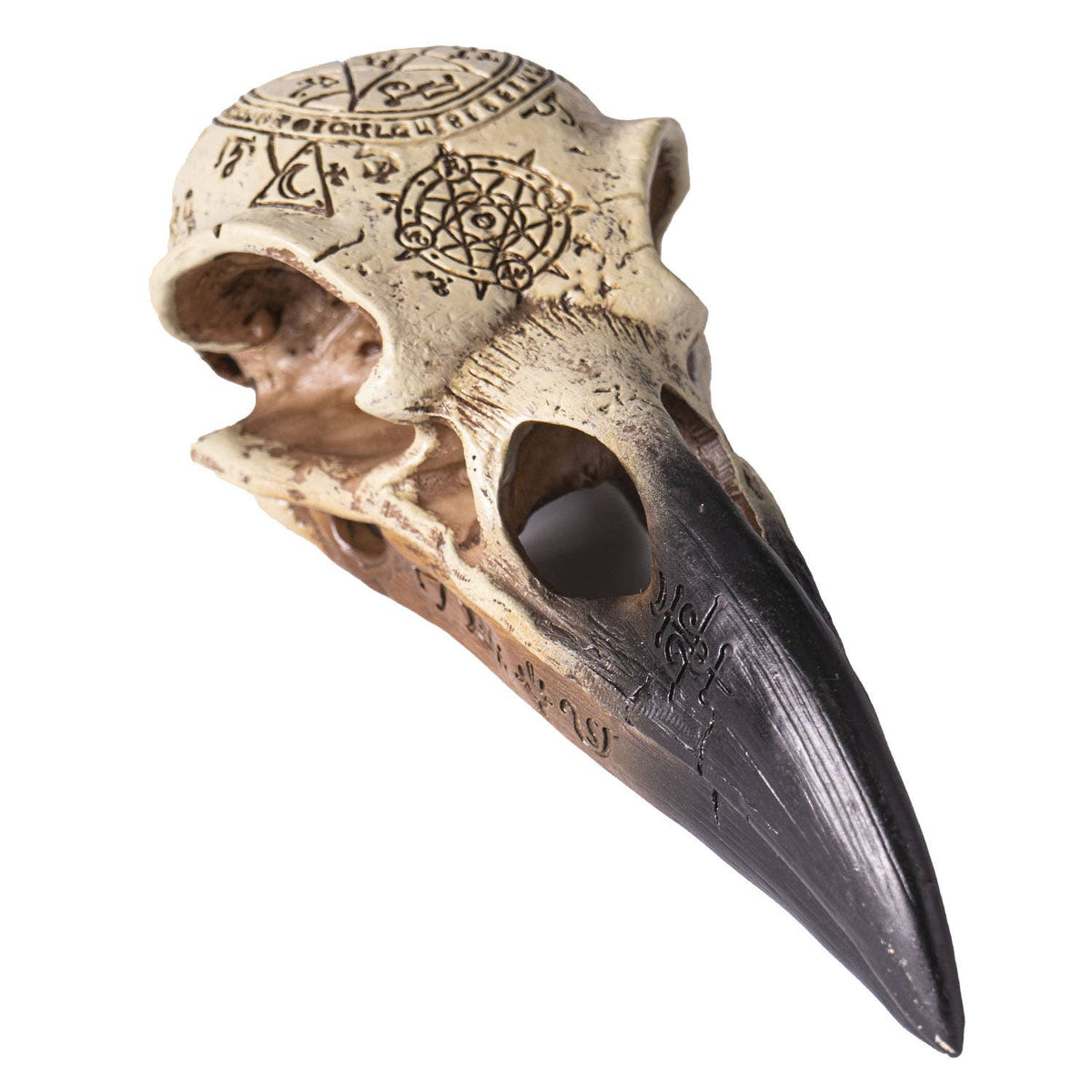 Omega Raven Omega Raven Skull – Purely Wicked Apothecary