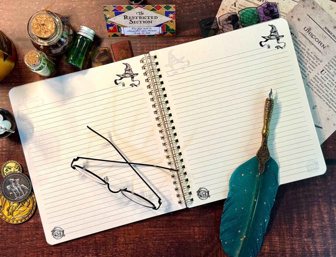 Harry Potter Sorting Hat Tabbed Journal