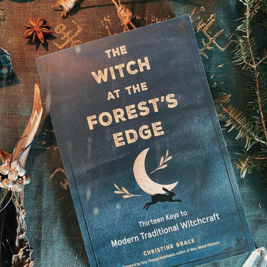 Witch at the Forest's Edge