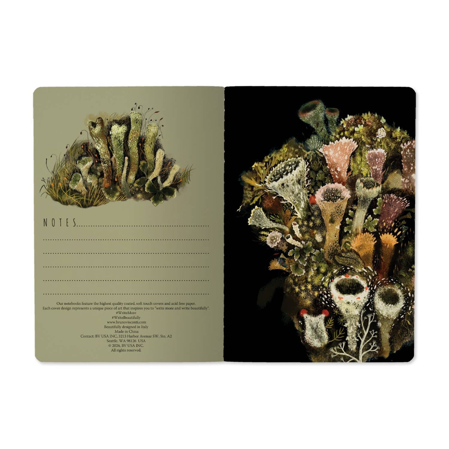 Forest Floor Notebook - 40pgs