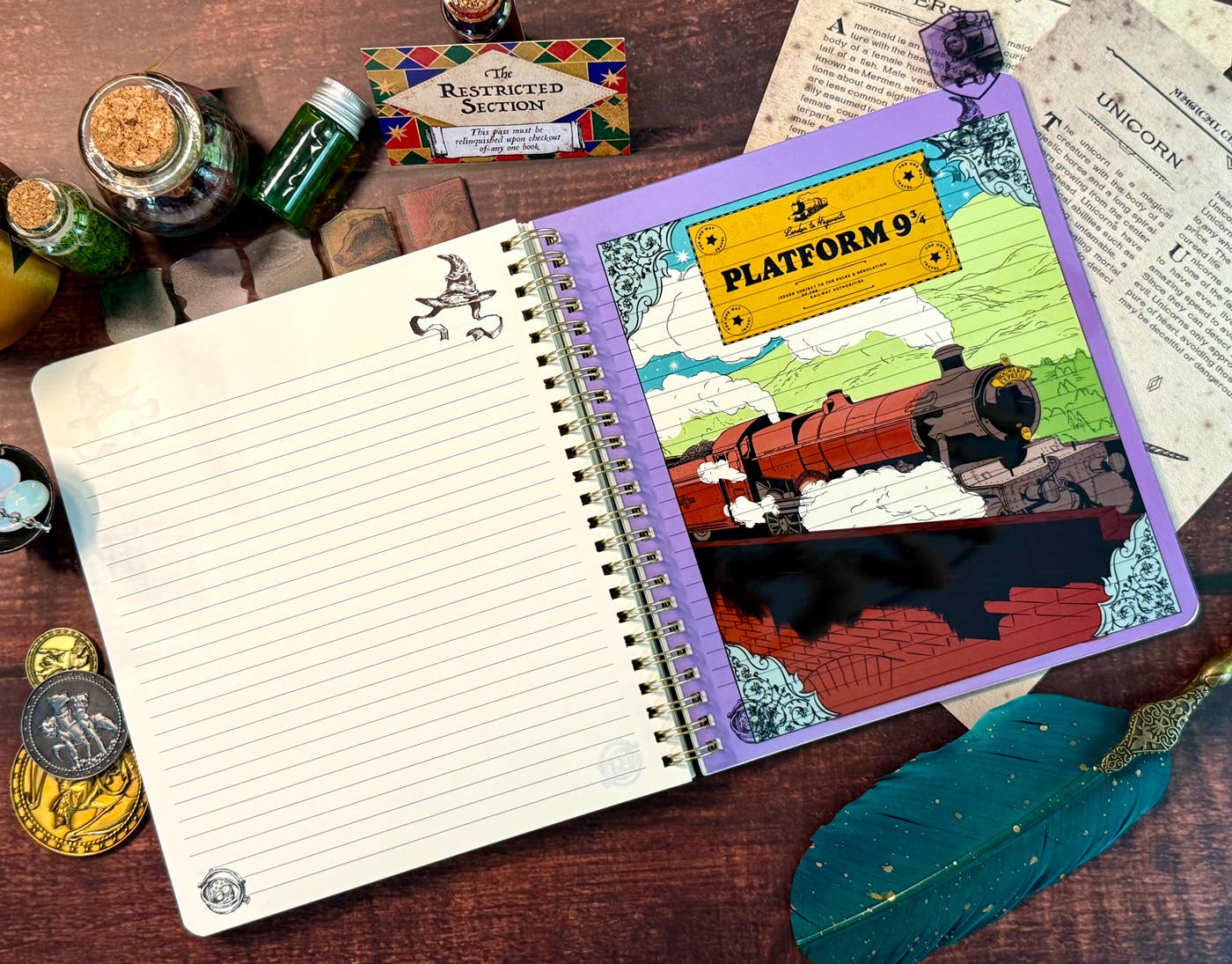 Harry Potter Sorting Hat Tabbed Journal