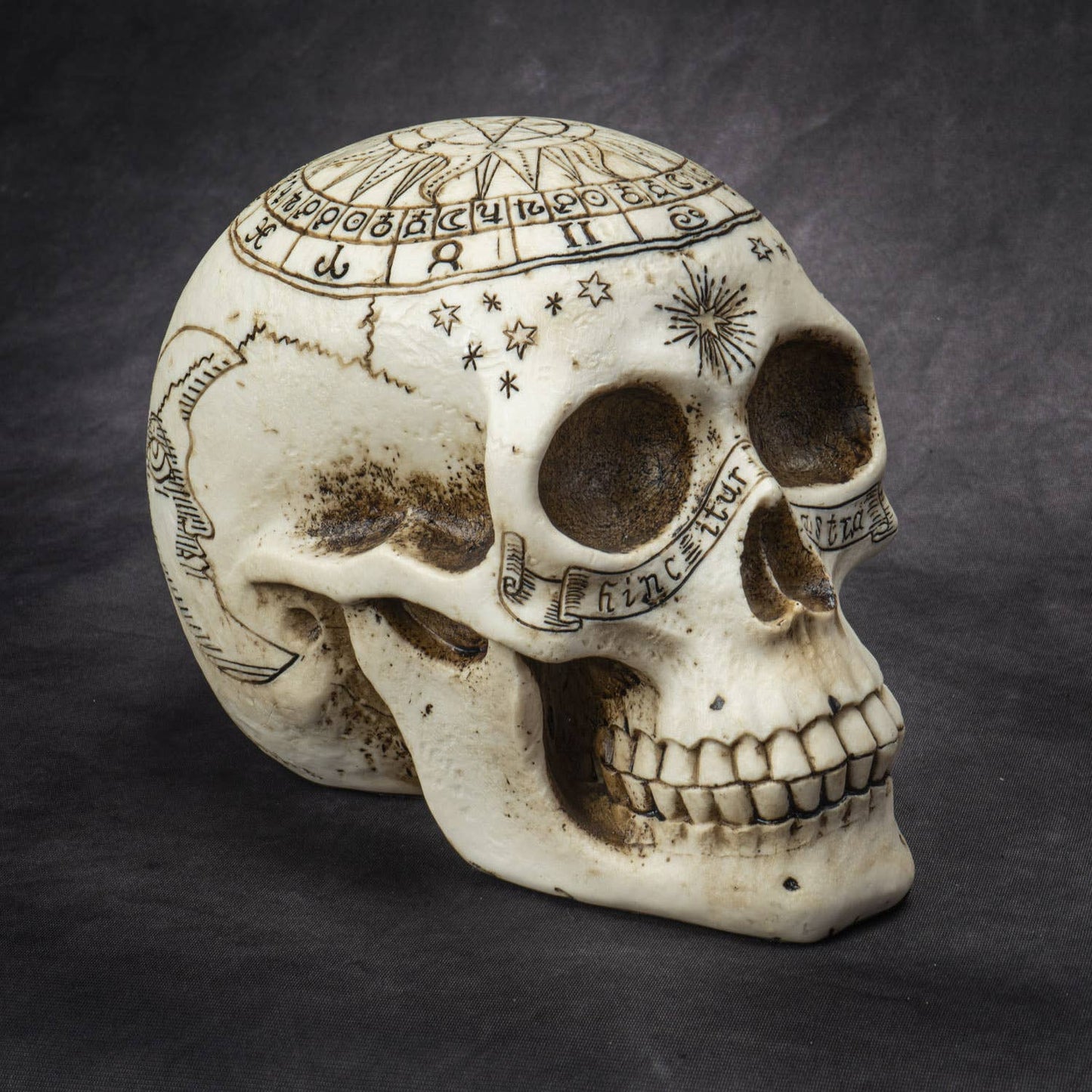 Astrology Skull Head