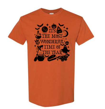 2025 The Most Wonderful Time of Year! T-Shirt