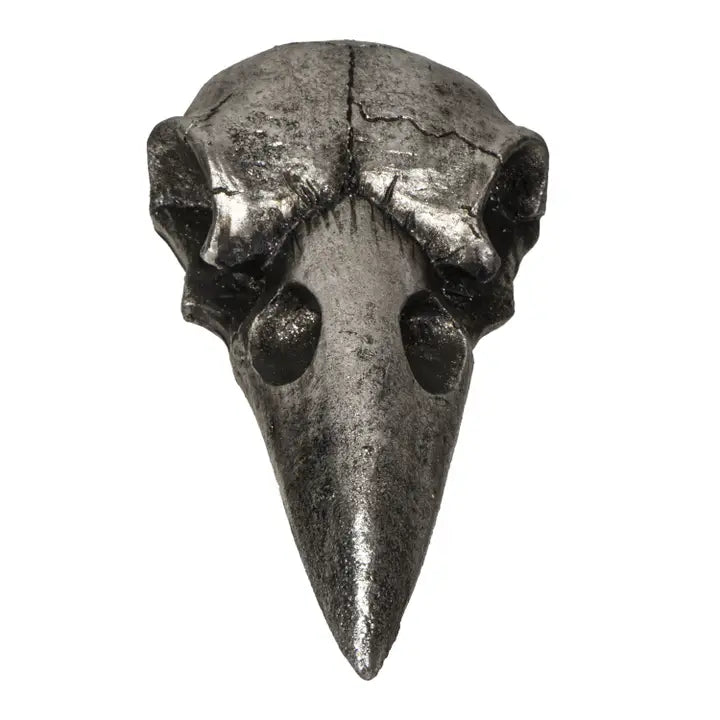 Raven Skull Hand Mirror
