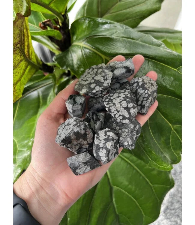 Rough Snowflake Obsidian