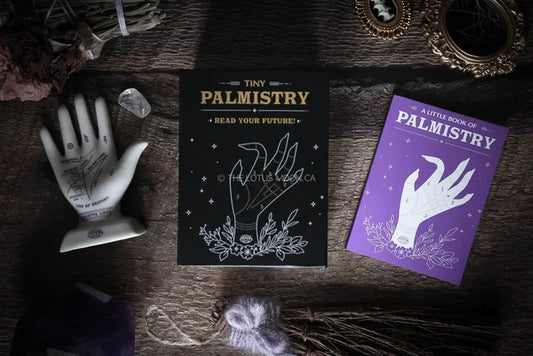 Tiny Palmistry Kit