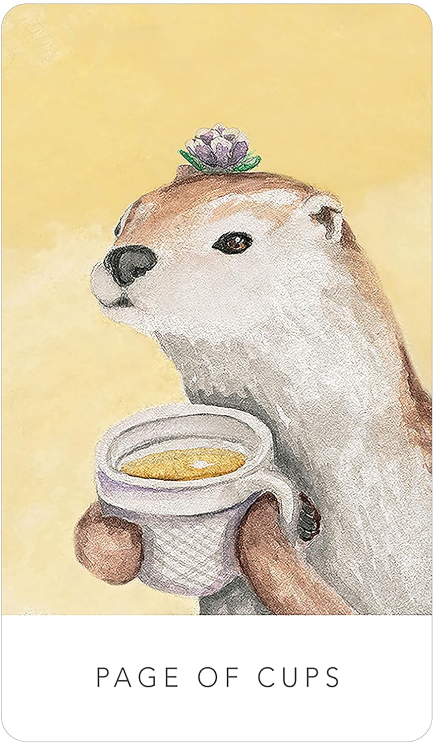 White Sage Tarot - In a Tin