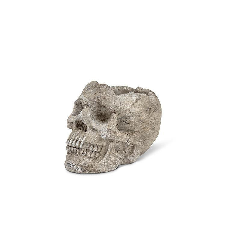 Skull Planter (3 Sizes)