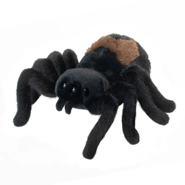 Sneaky Spider