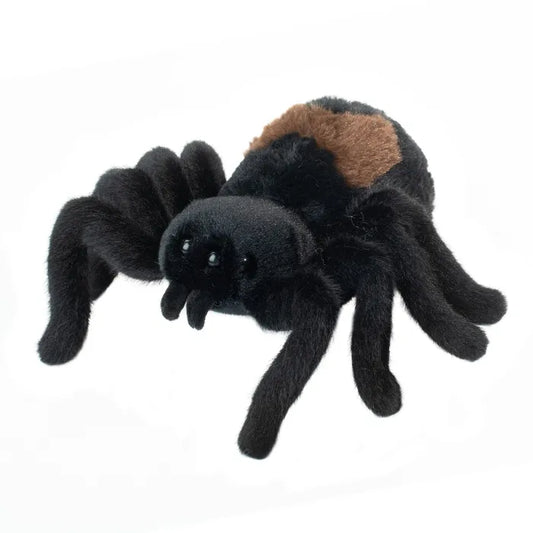 Sneaky Spider