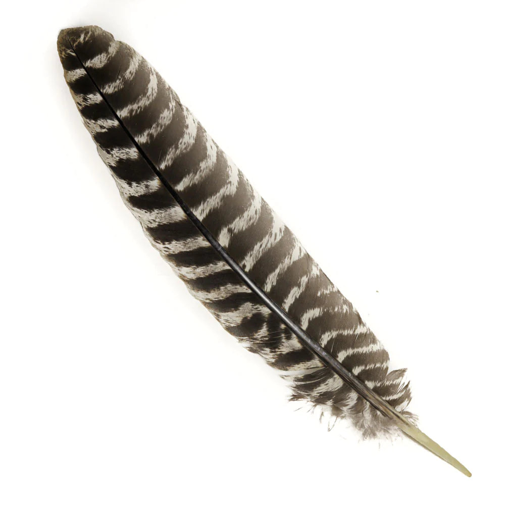 Sacred Smoke Feather