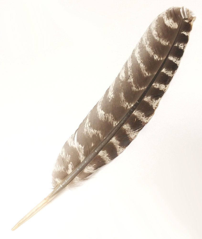 Sacred Smoke Feather