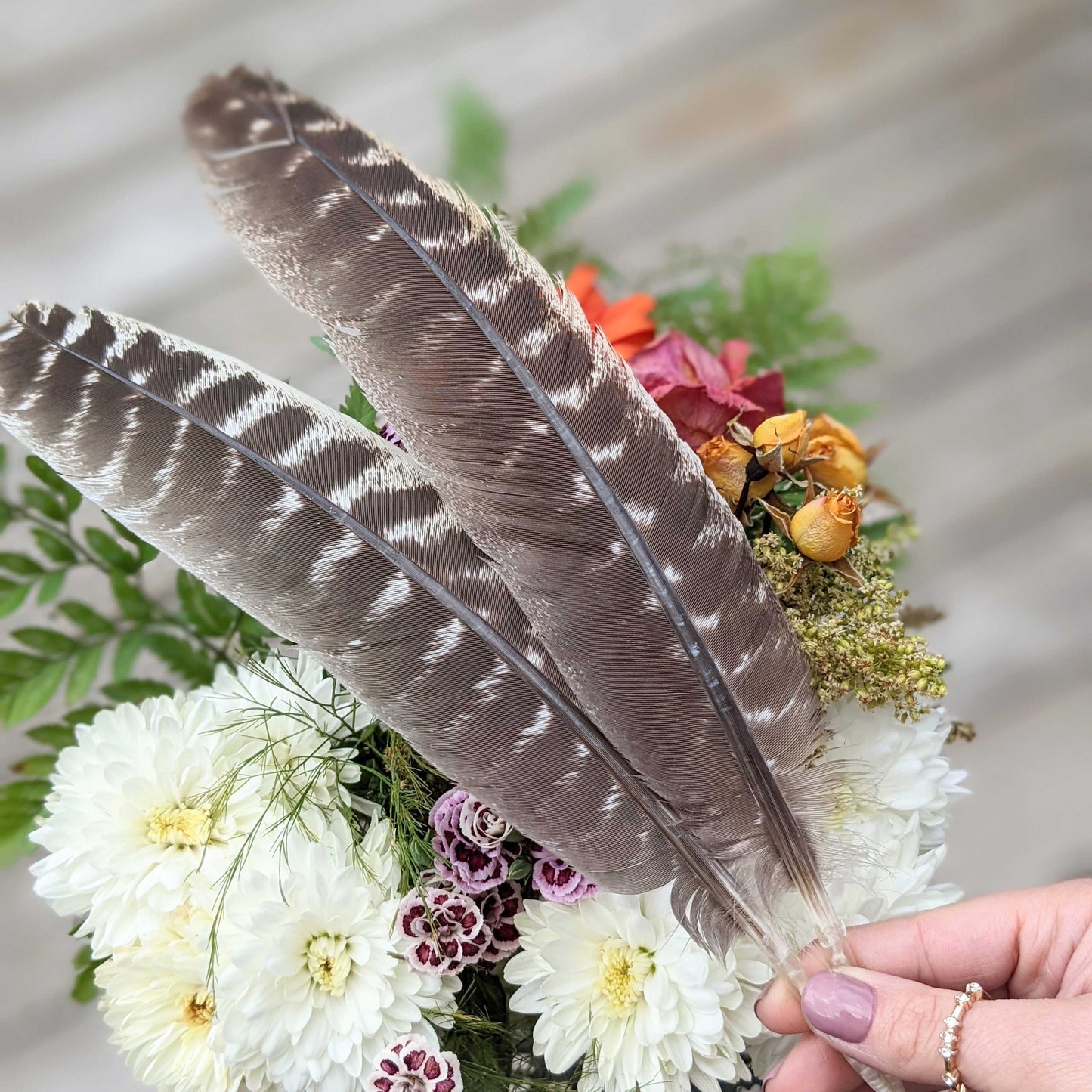 Sacred Smoke Feather