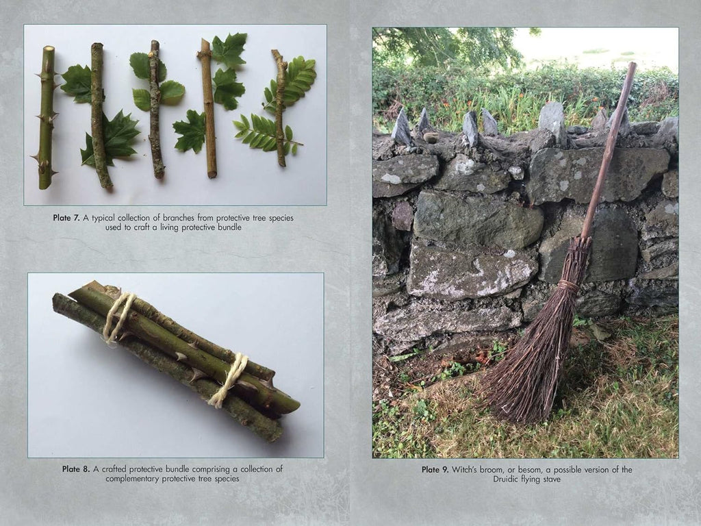 Living Wands Of the Druides