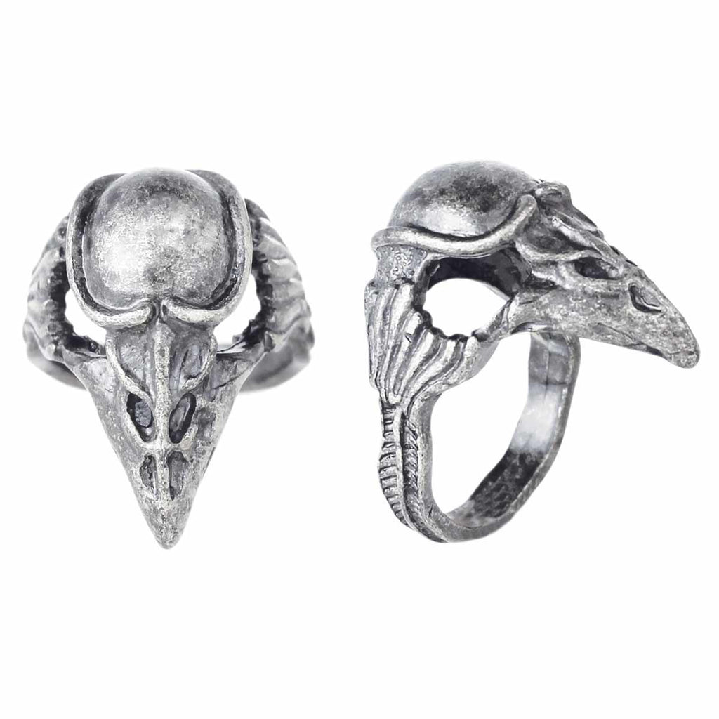 Silver Bird Skull Ring - Cast a Spell