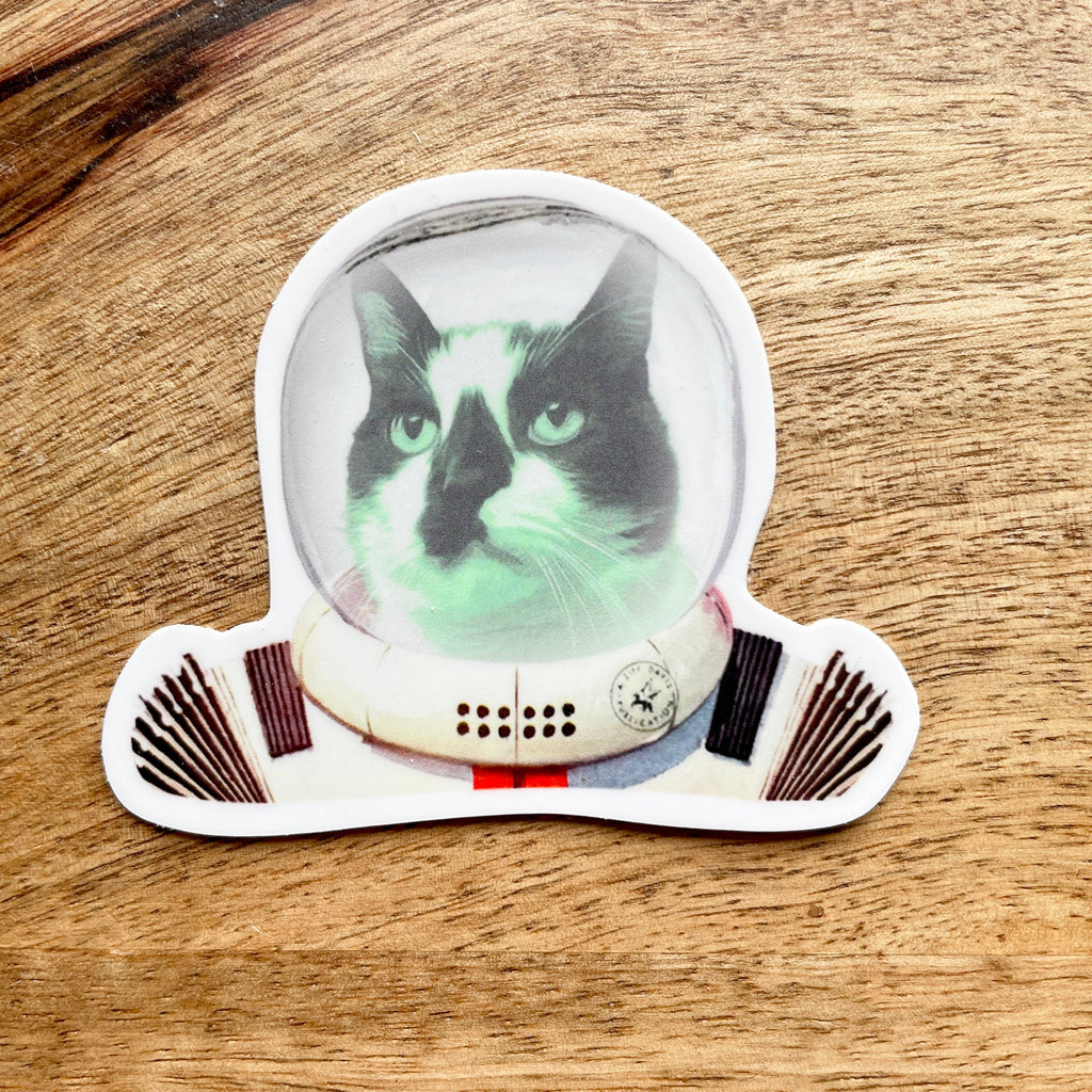 Space Cat funny animal sticker