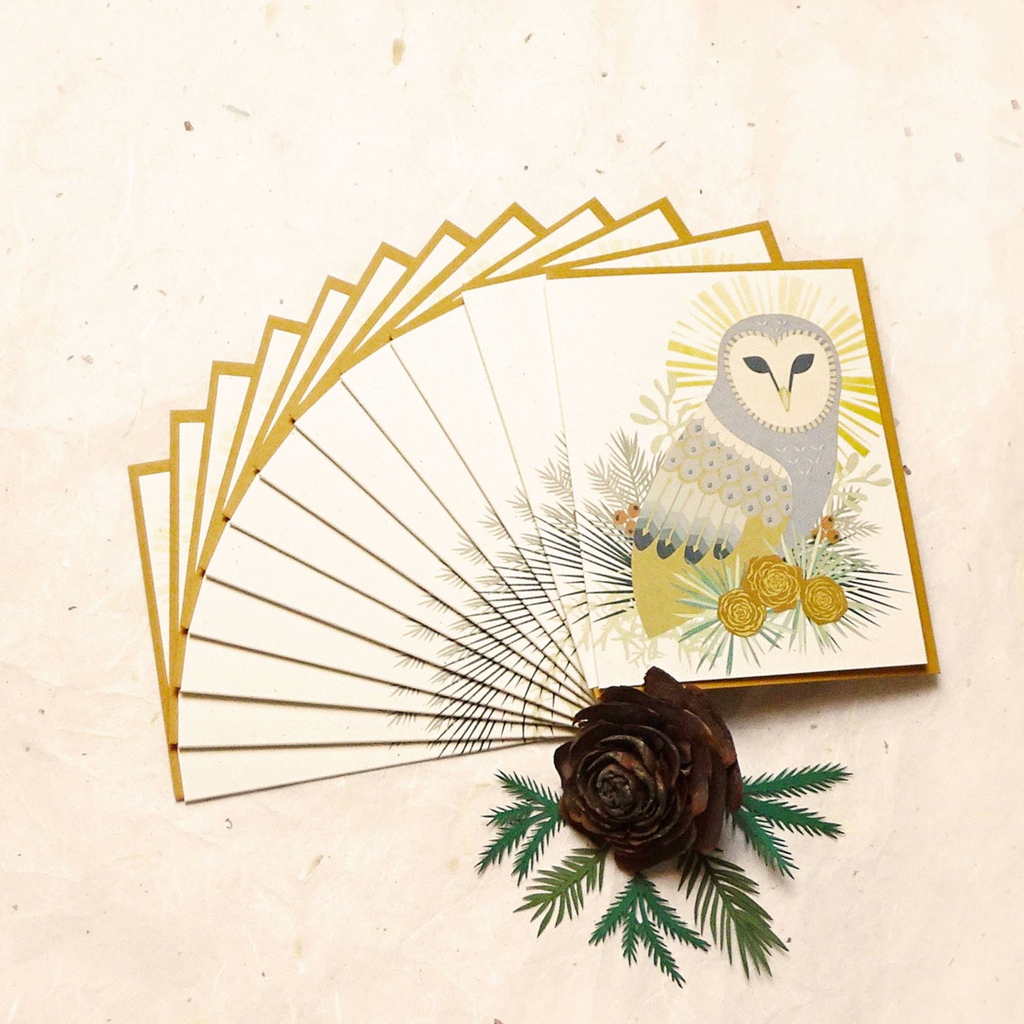 Boxed Set of 10 Barn Owl Holiday Paper Card