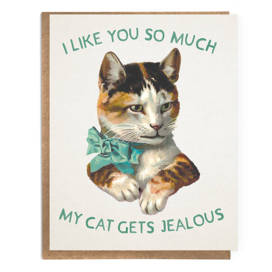 I Like You So Much My Cat Gets Jealous - Cute Friendship Card