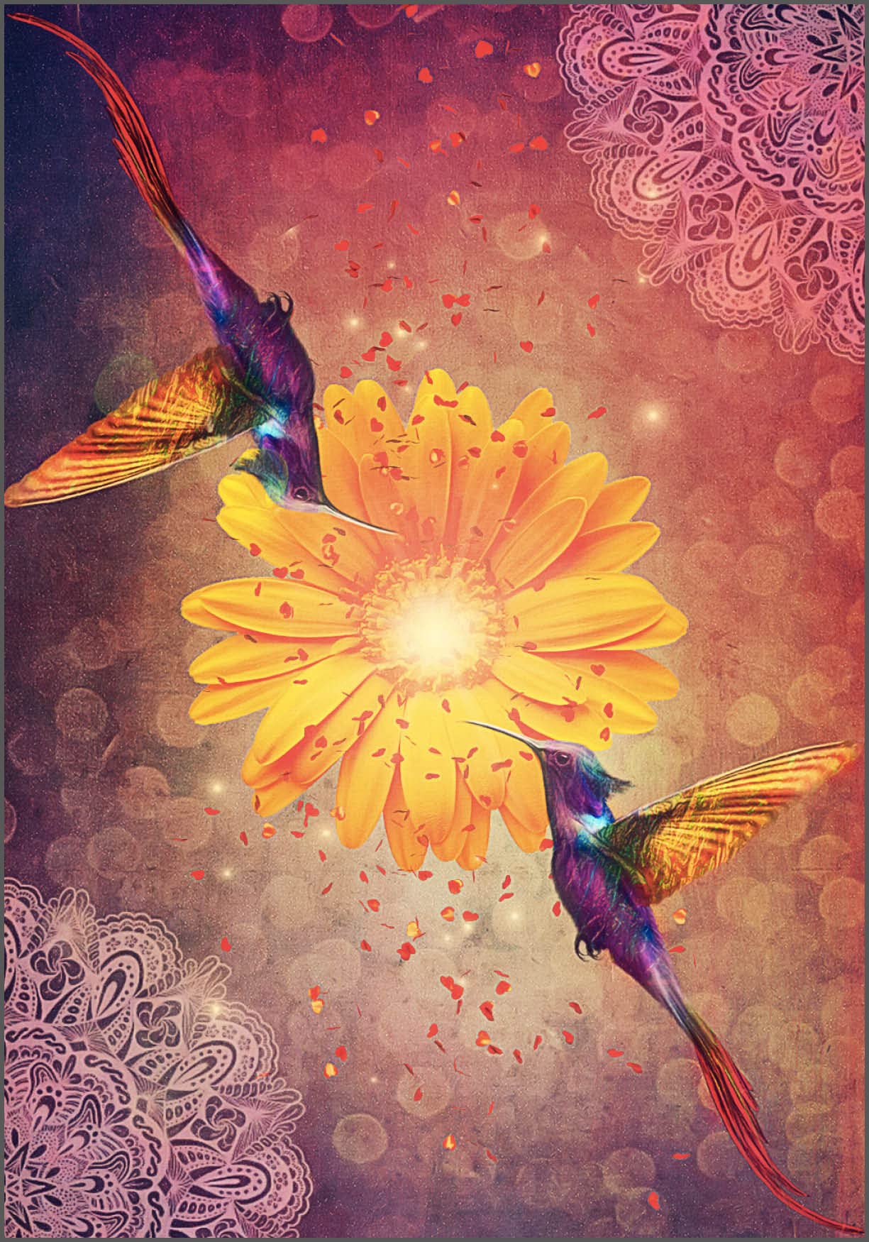 Hummingbird Wisdom Oracle