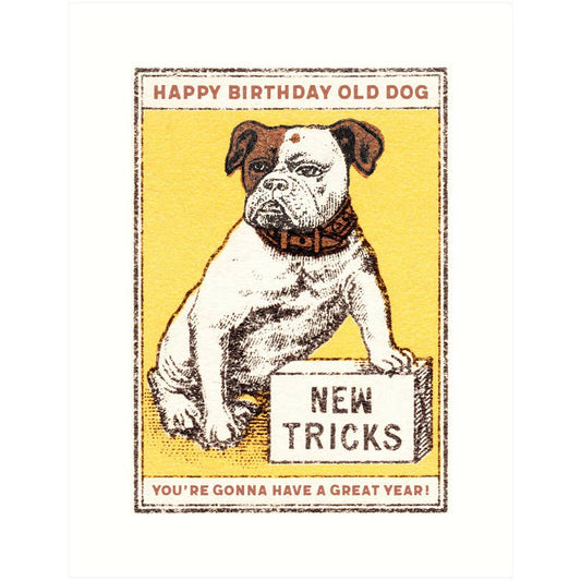 New Tricks Birthday Greeting Card