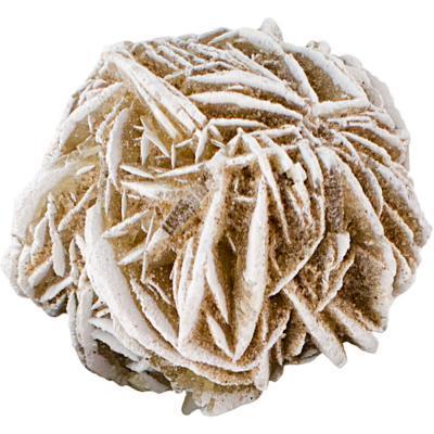 Desert Rose - Large