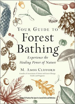 Your Guide To Forest Bathing