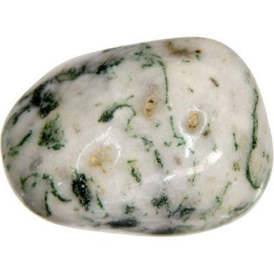 Tree Agate - Smooth